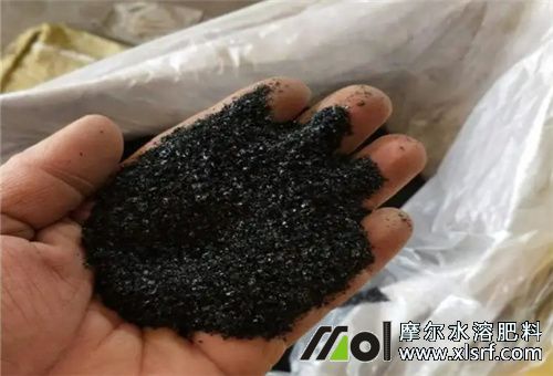 海藻水溶肥 海藻水溶肥