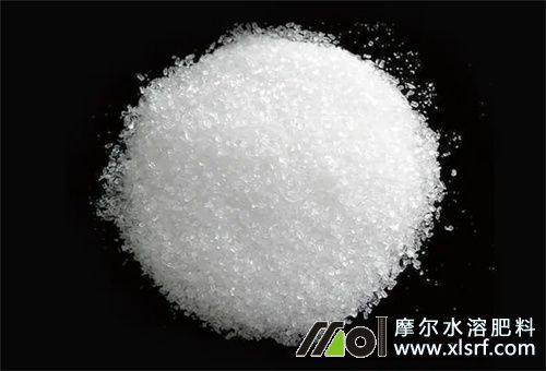 水溶肥所屬肥料種類 水溶肥所屬肥料種類