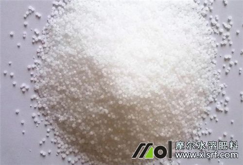 水溶肥所屬肥料種類 水溶肥所屬肥料種類