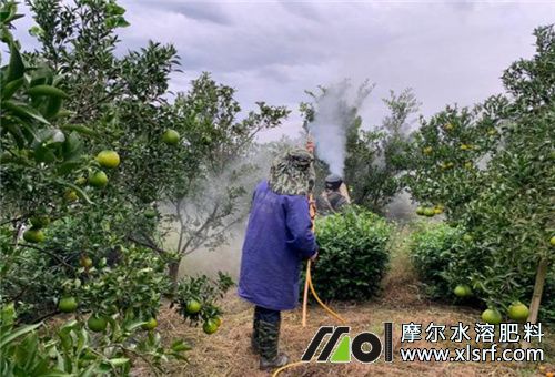 魚蛋白肥使用要求 魚蛋白肥使用要求