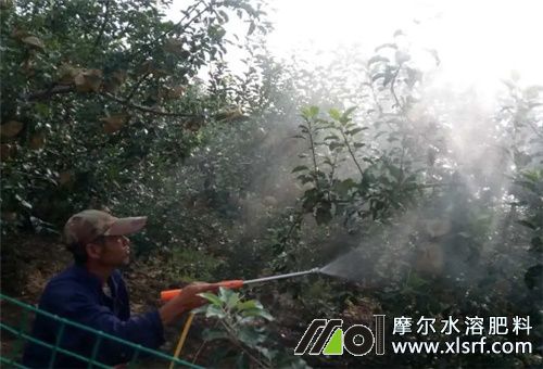 果樹用魚蛋白肥好處 果樹用魚蛋白肥好處