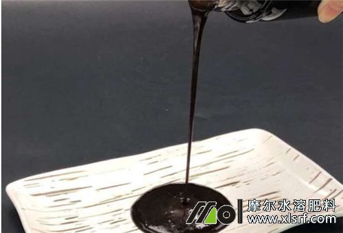 魚蛋白真假判斷 魚蛋白真假判斷