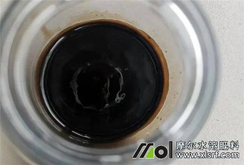 酶解魚蛋白真假辨別 酶解魚蛋白真假辨別