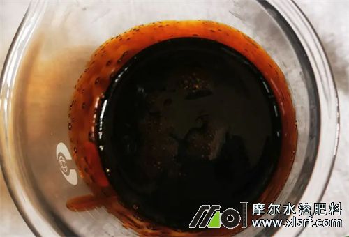 酶解魚蛋白辨別 酶解魚蛋白辨別