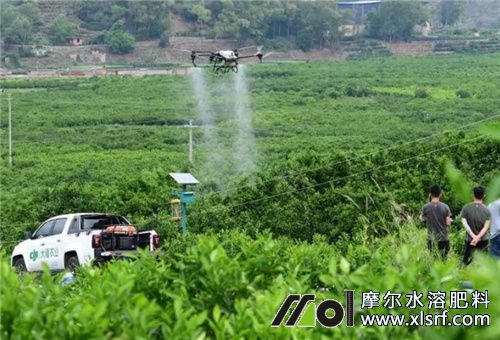 002.jpg 柑橘用魚蛋白肥好處 002.jpg 柑橘用魚蛋白肥好處