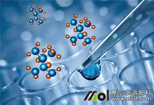 小分子肽鏈 小分子肽鏈