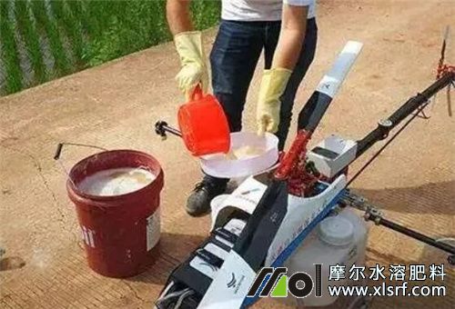 果樹施魚蛋白肥注意 果樹施魚蛋白肥注意