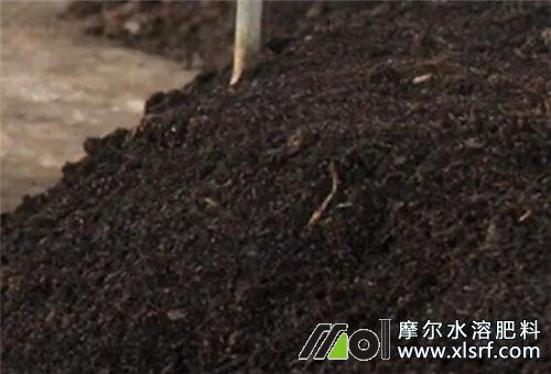 魚蛋白肥和什么肥混用 魚蛋白肥和什么肥混用