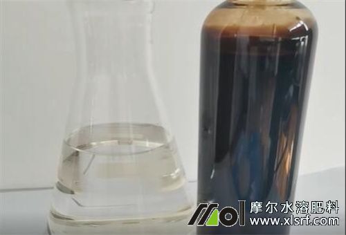 蝦肽魚蛋白好處 蝦肽魚蛋白好處