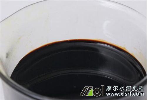 蝦肽魚蛋白好處 蝦肽魚蛋白好處