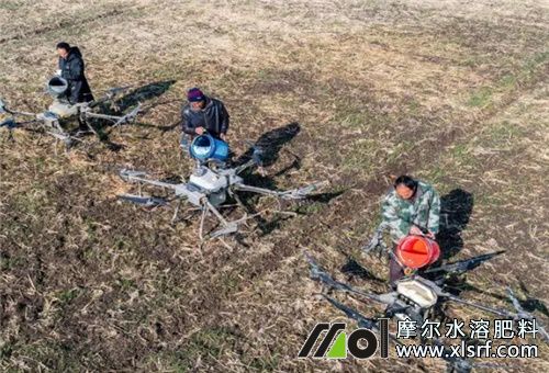 魚蛋白使用注意點 魚蛋白使用注意點