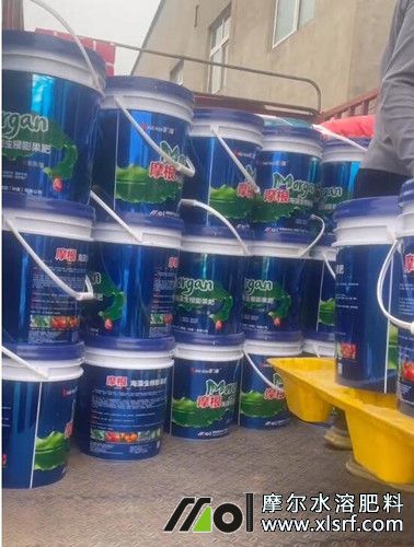 5噸桶裝肥發(fā)貨中 5噸桶裝肥發(fā)貨中