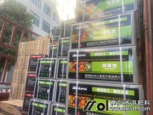 根聚地裝車發(fā)貨 根聚地裝車發(fā)貨