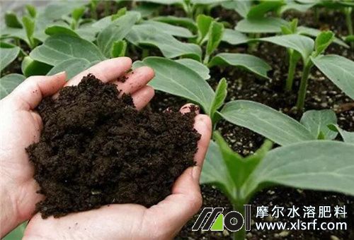 礦源黃腐酸鉀用法 礦源黃腐酸鉀用法