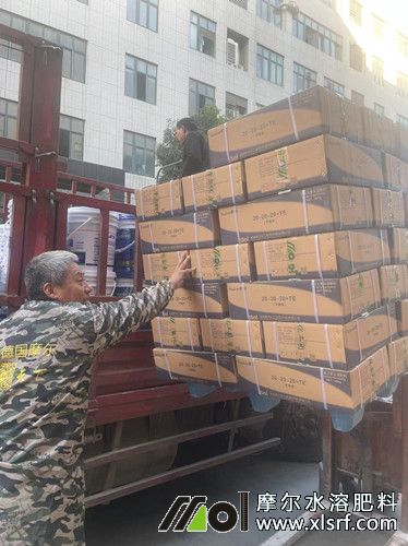 云南客戶訂購(gòu)大量元素水溶肥 云南客戶訂購(gòu)大量元素水溶肥