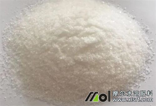 作物施水溶肥好處 作物施水溶肥好處