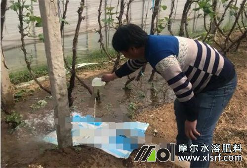 夏季為什么用水溶肥 夏季為什么用水溶肥