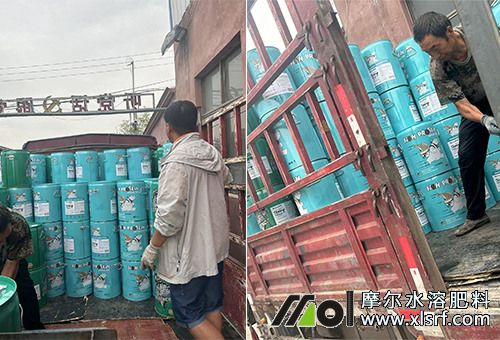 12噸魚蛋白肥裝車中 12噸魚蛋白肥裝車中