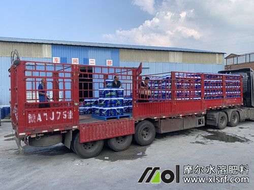 30噸摩根海藻生根膨果肥裝車完成 30噸摩根海藻生根膨果肥裝車完成